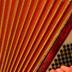 Accordeon