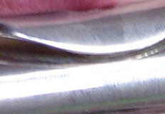dwarsfluitkop