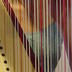 Harp